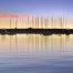 Swan River